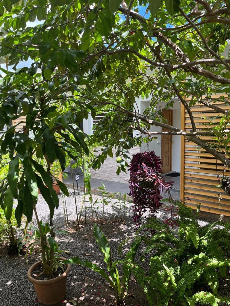 Pare Lodge Tahiti Pirae Екстериор снимка