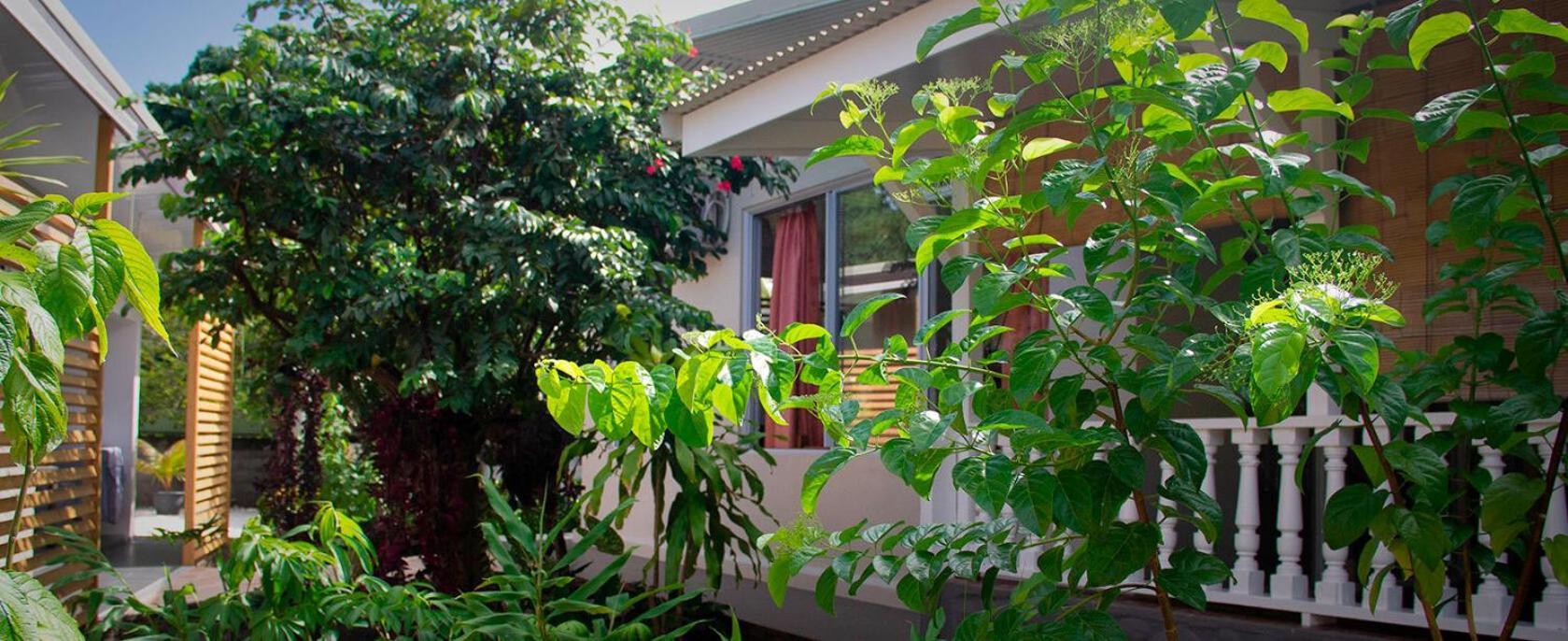 Pare Lodge Tahiti Pirae Екстериор снимка